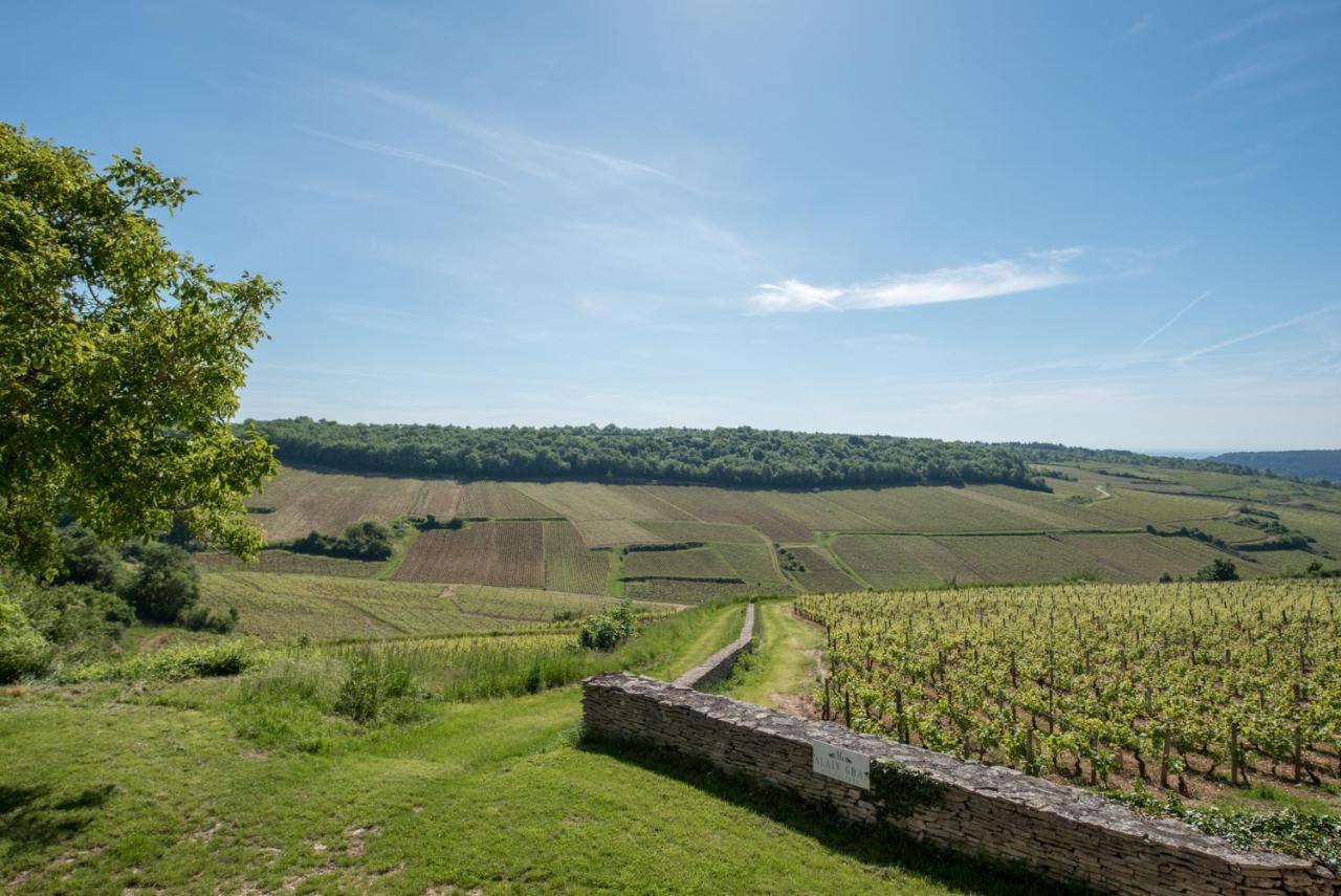 Chez Joseph - Au Coeur Des Vignes De Saint-Romain エクステリア 写真